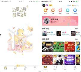 吃瓜先锋娱乐资讯社,揭秘娱乐圈最新热点，带你畅游八卦海洋